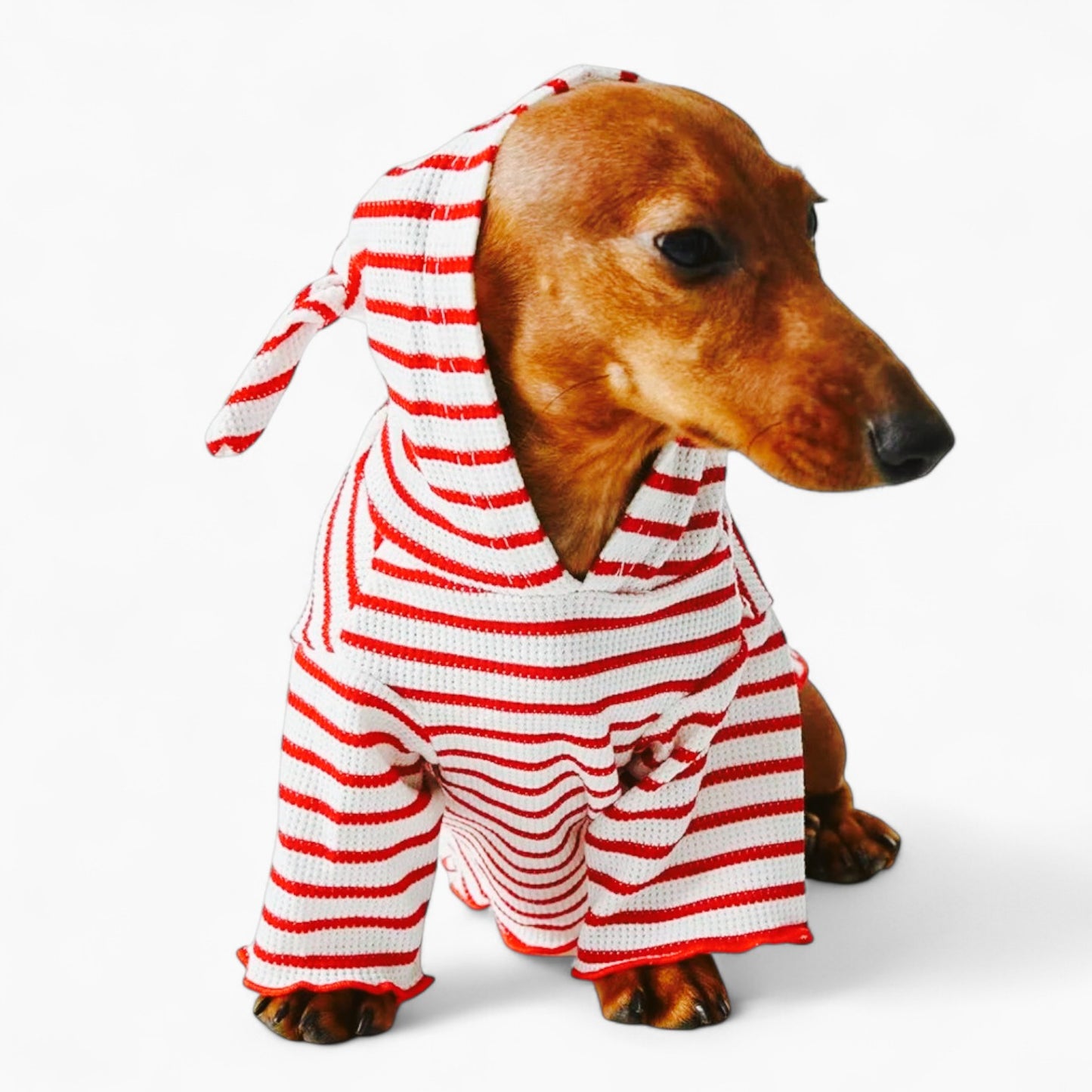 StripeTail-Dachshund-Striped-Hoodie.jpg