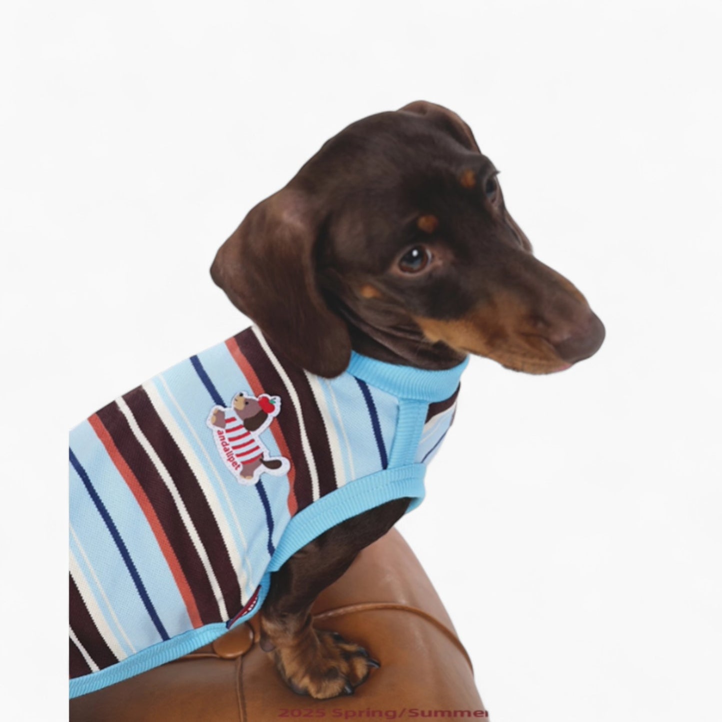 StripiCub-Dachshund-Summer-Vest.jpg