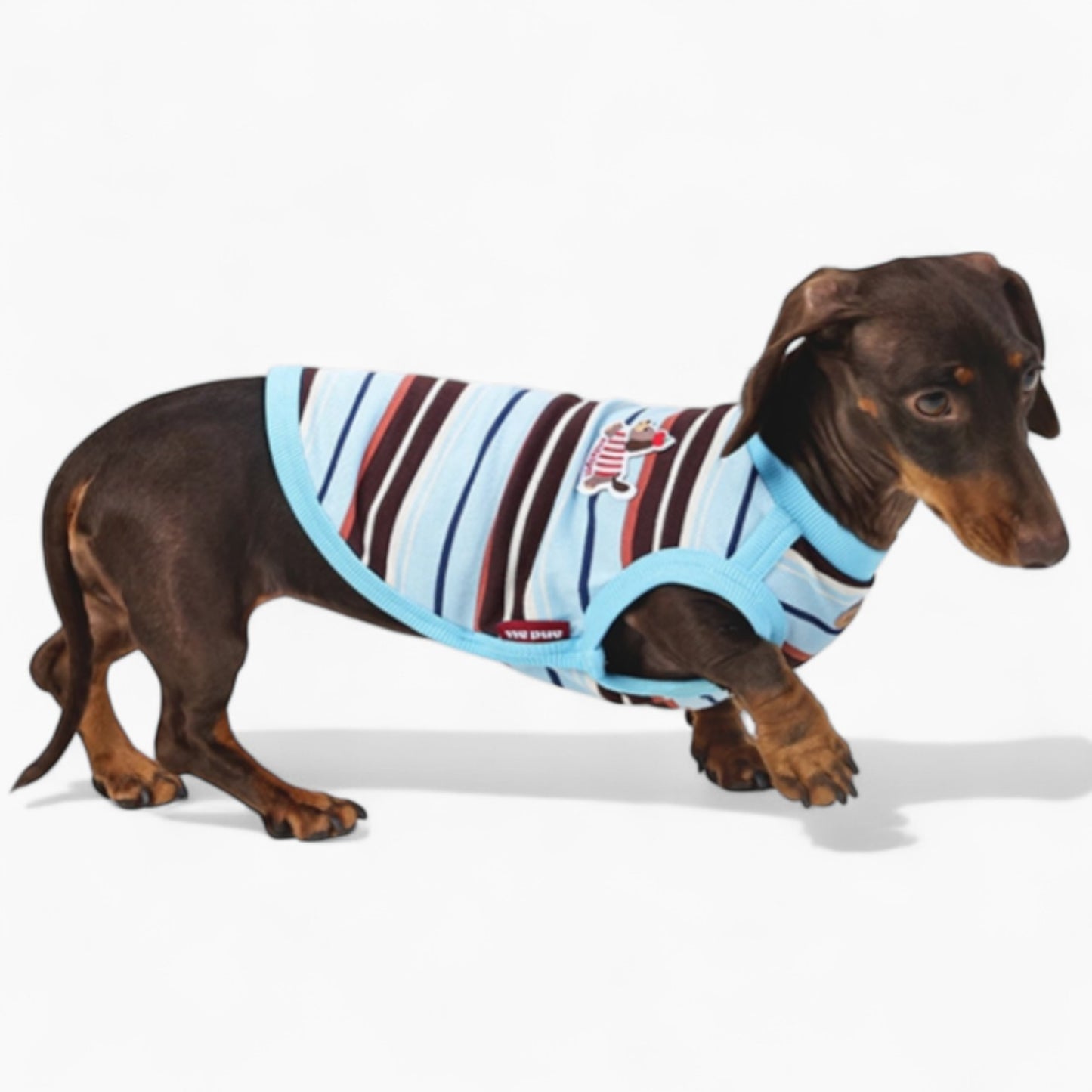 StripiCub-Dachshund-Summer-Vest.jpg