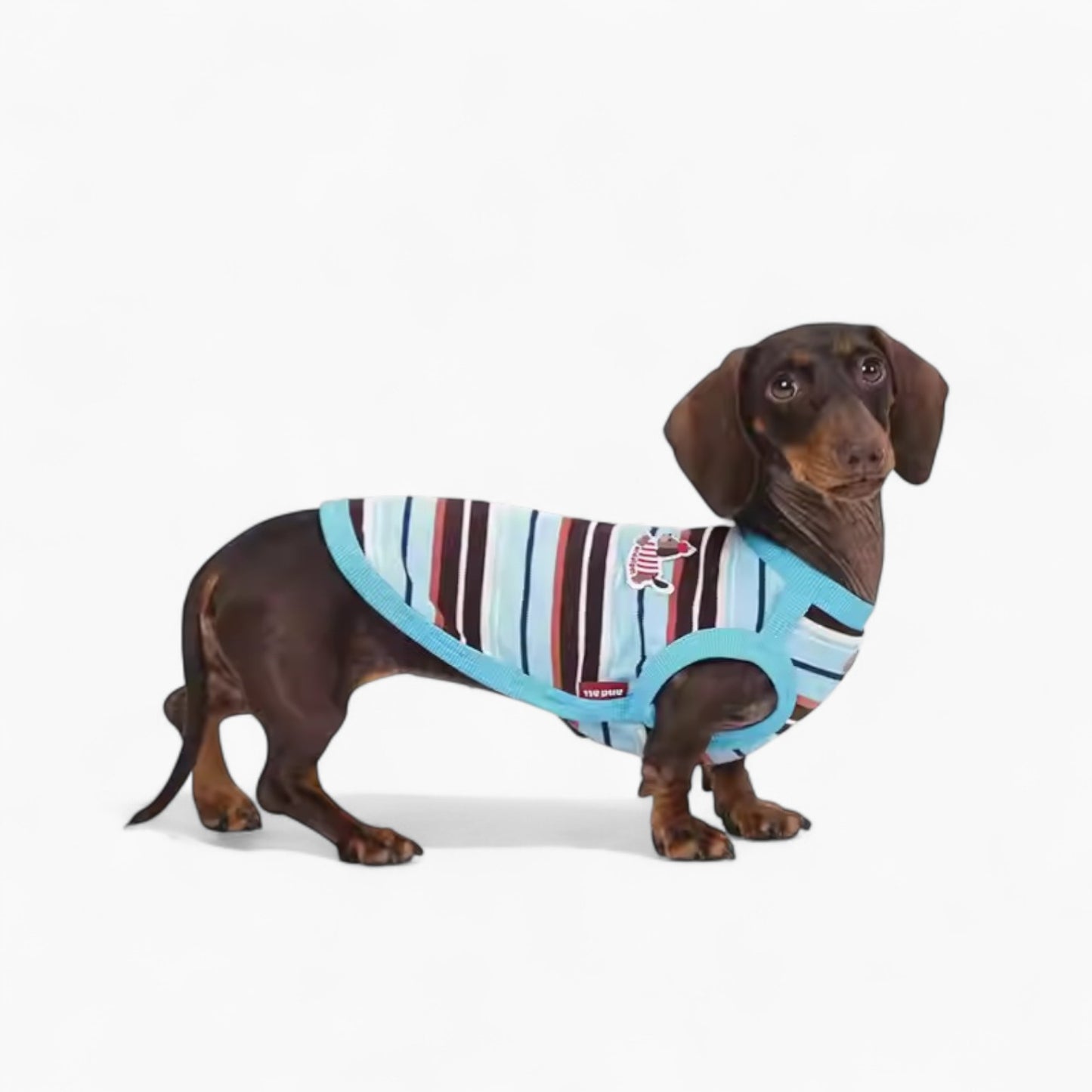 StripiCub-Dachshund-Summer-Vest.jpg