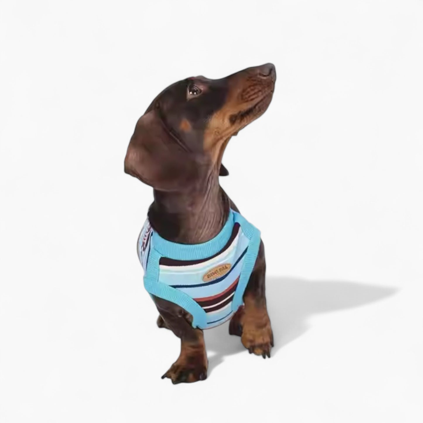 StripiCub-Dachshund-Summer-Vest.jpg
