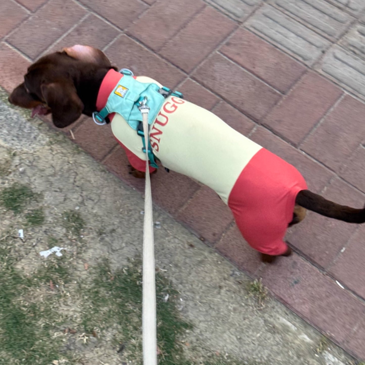 SunPup-Dachshund-Summer-Jumpsuit.jpg