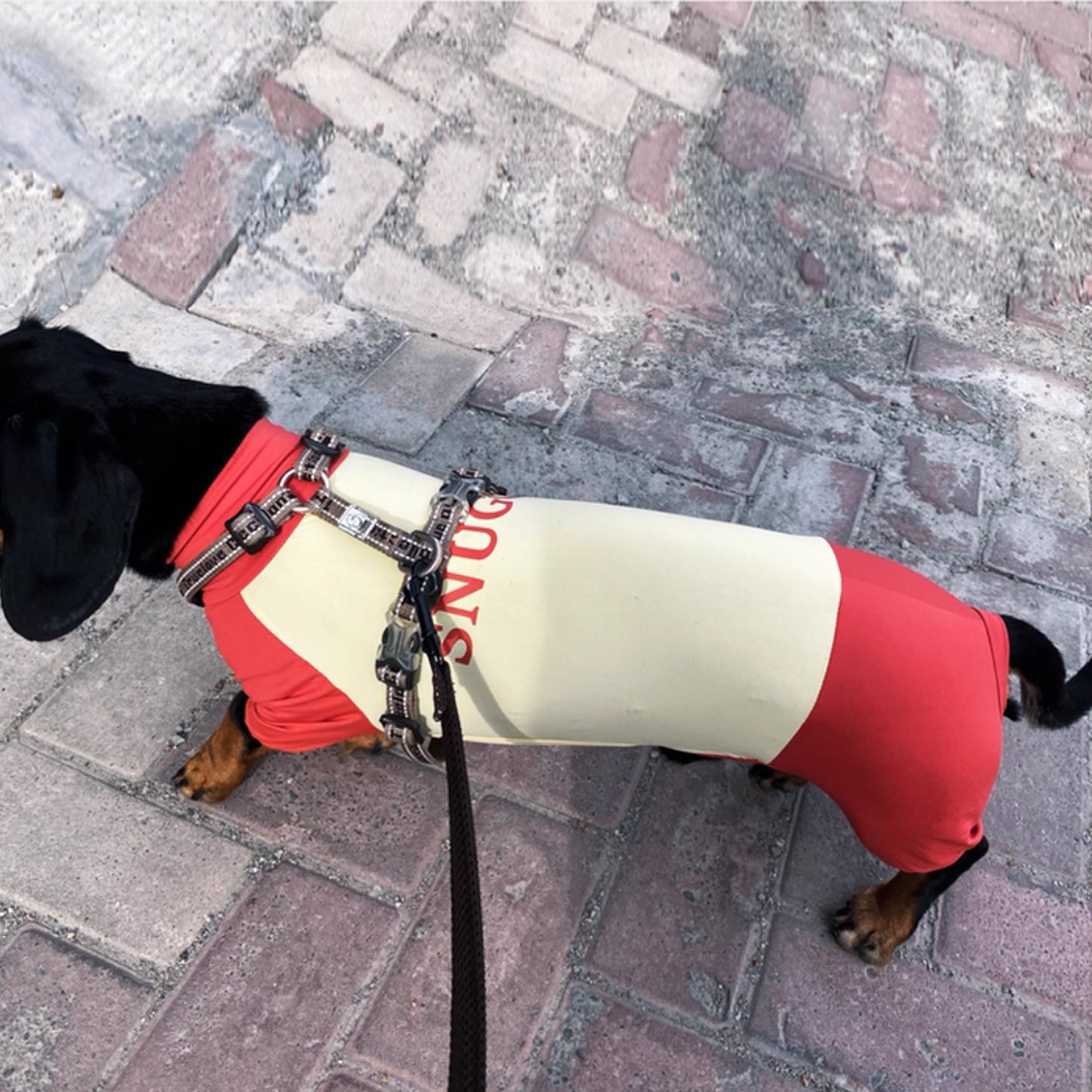 SunPup-Dachshund-Summer-Jumpsuit.jpg