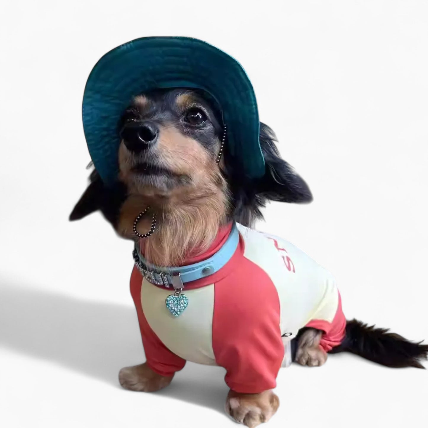 SunPup-Dachshund-Summer-Jumpsuit.jpg