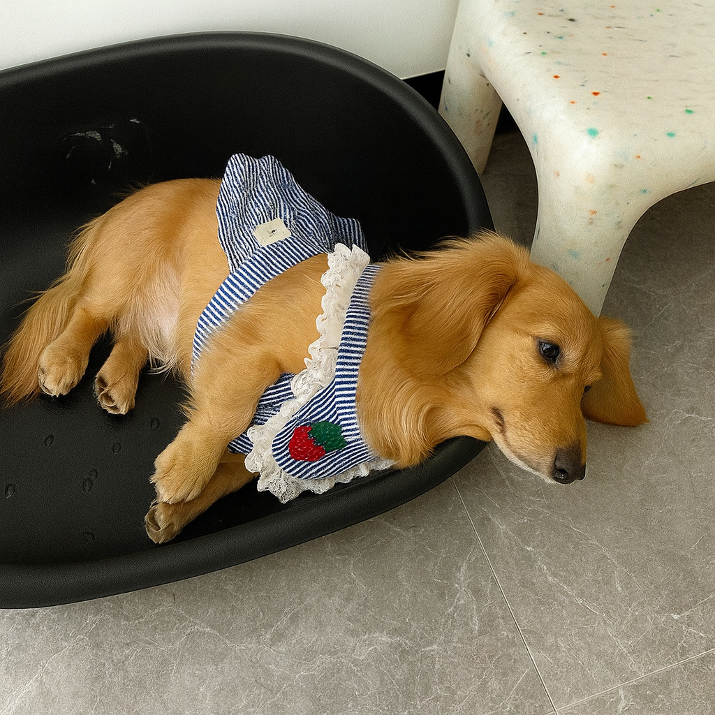 Tailvera-Dachshund-Summer-Skirt.jpg