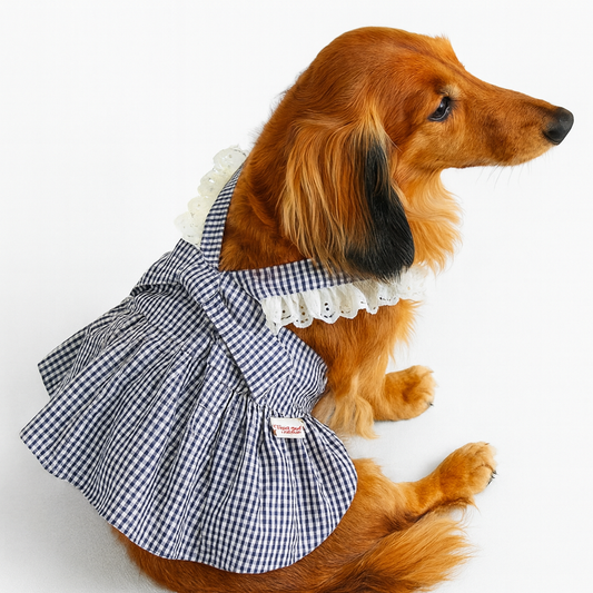 Tailvera-Dachshund-Summer-Skirt.jpg