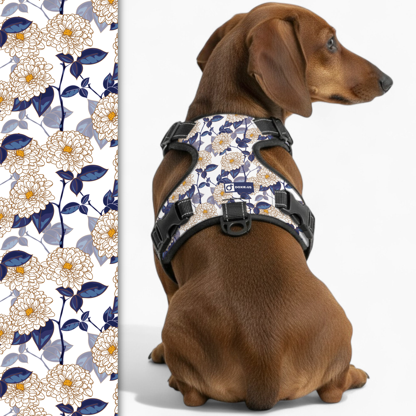 Joey - No-Pull Dachshund Dog Harness