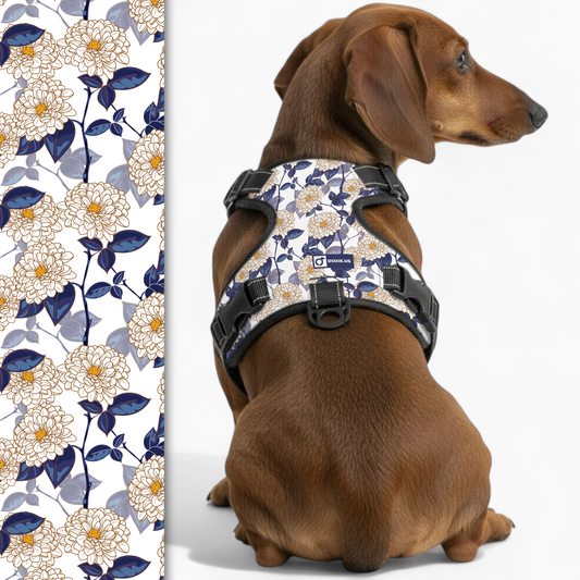 Joey -  No-Pull Dachshund Dog Harness