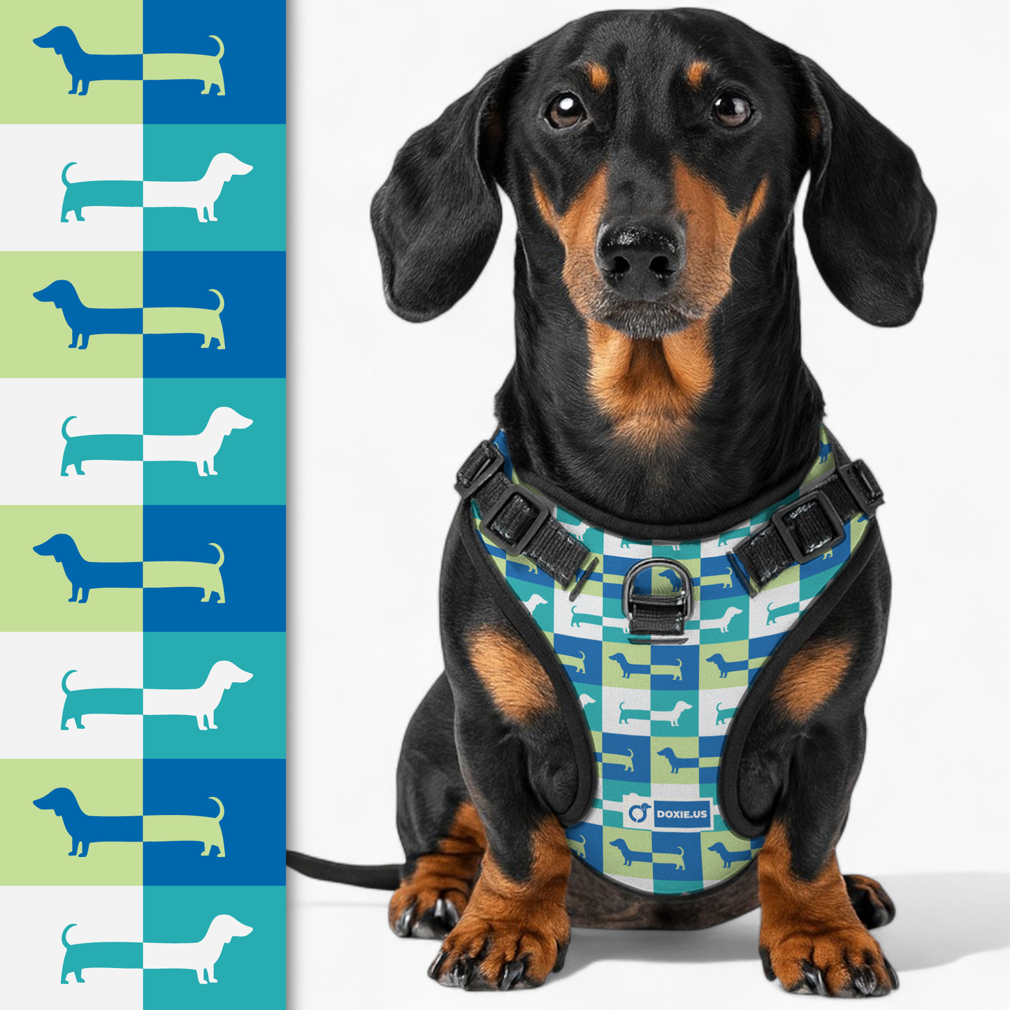 Hans - No-Pull Dachshund Dog Harness