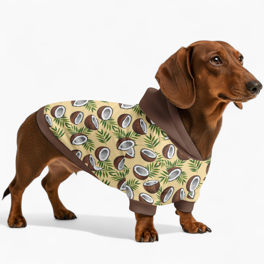 Cora - Dachshund hoodie