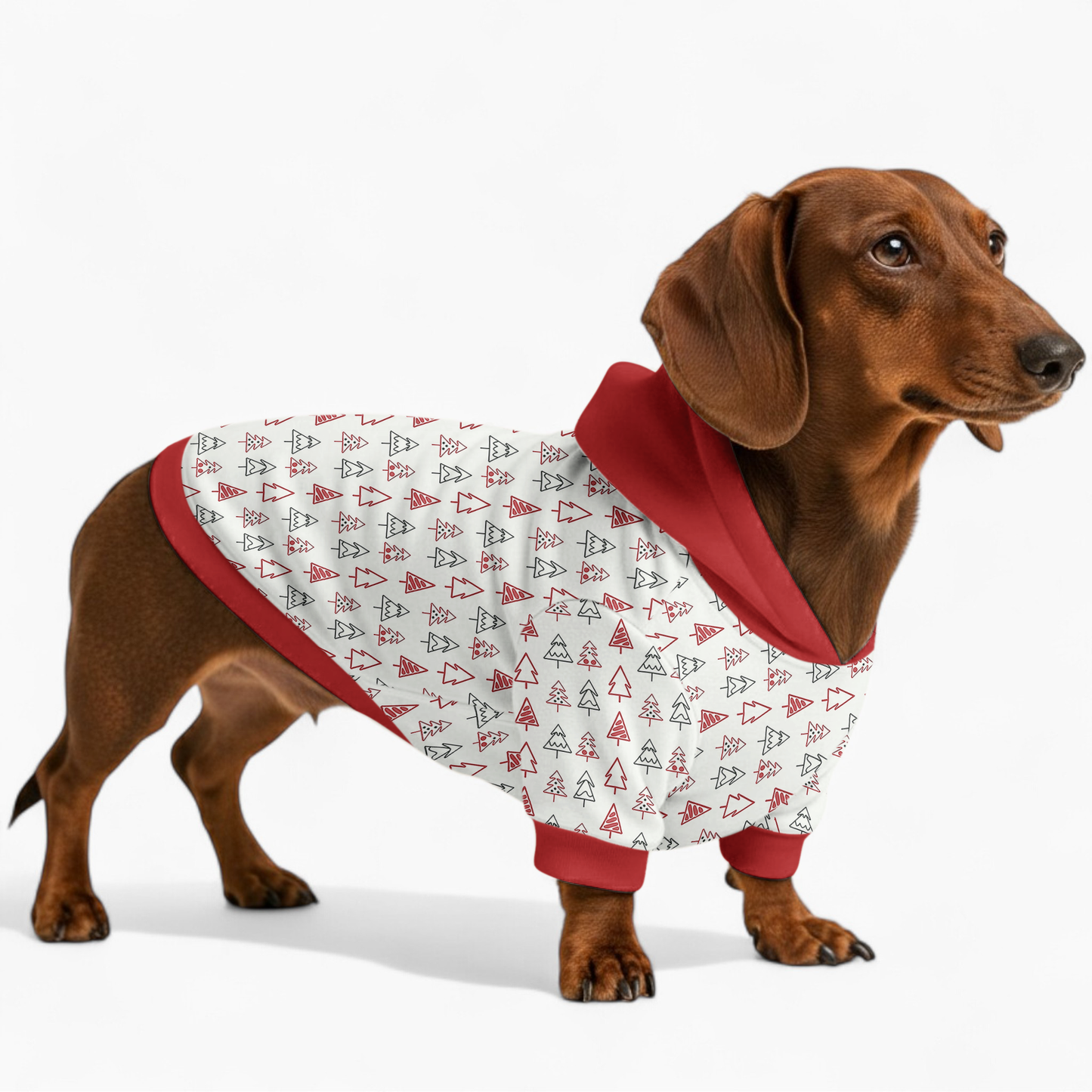 Ember - Dachshund hoodie