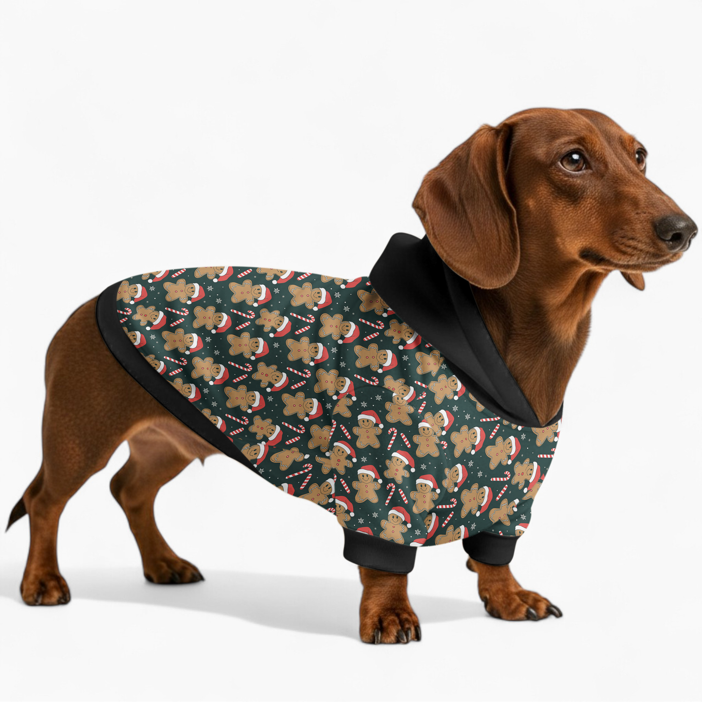 Fifi - Dachshund hoodie