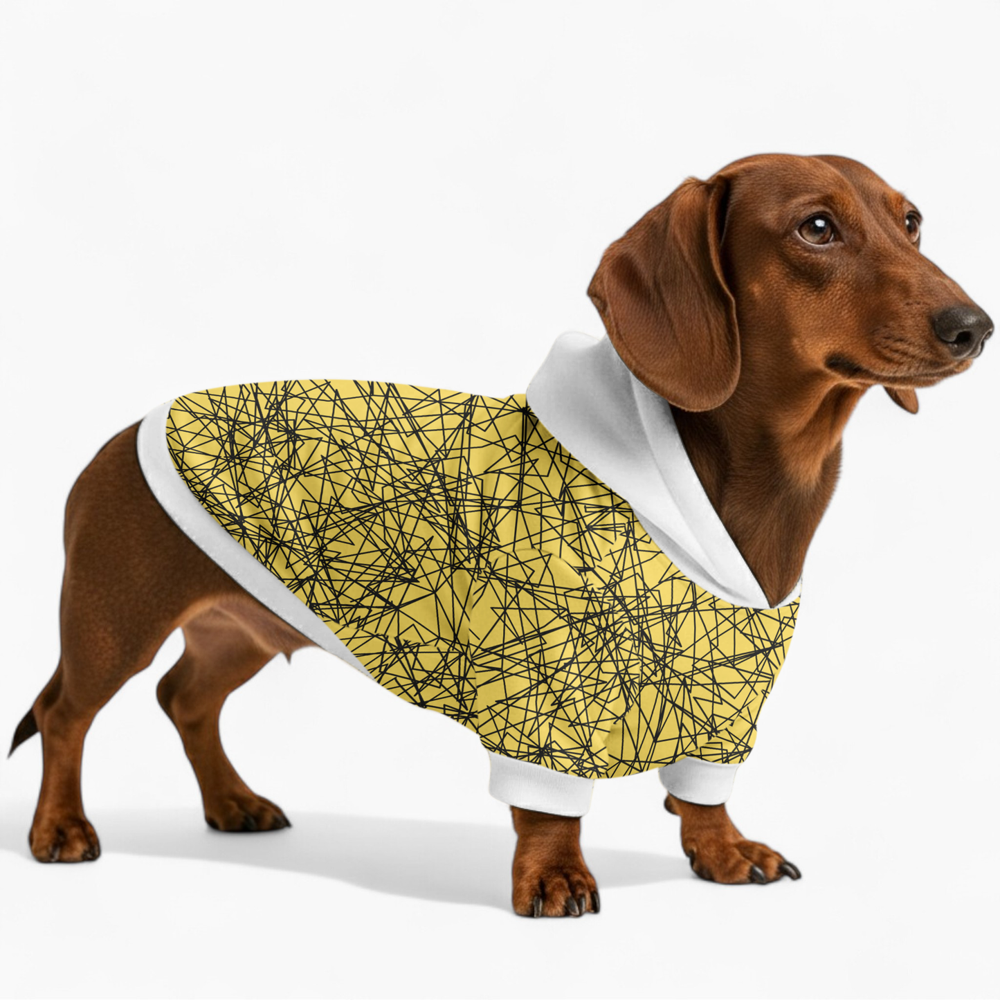 Fiona - Dachshund hoodie