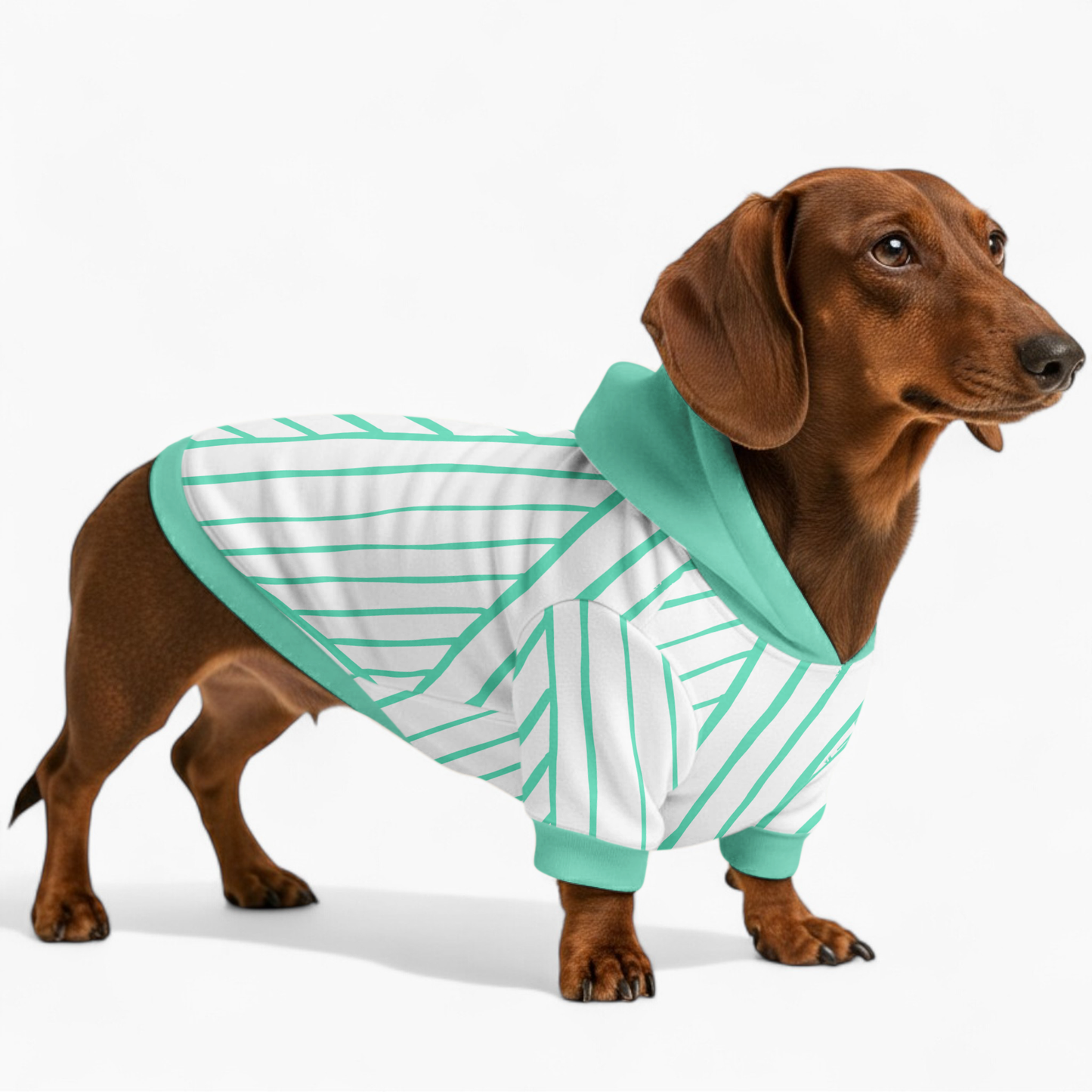 Haven - Dachshund hoodie