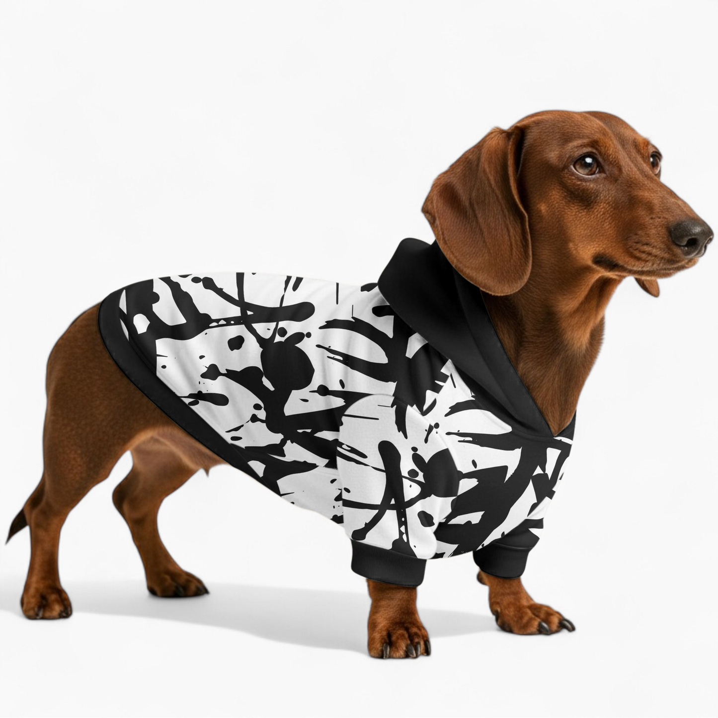 Holly - Dachshund hoodie