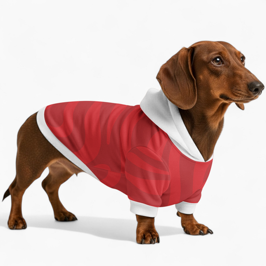 Jennifer - Dachshund hoodie
