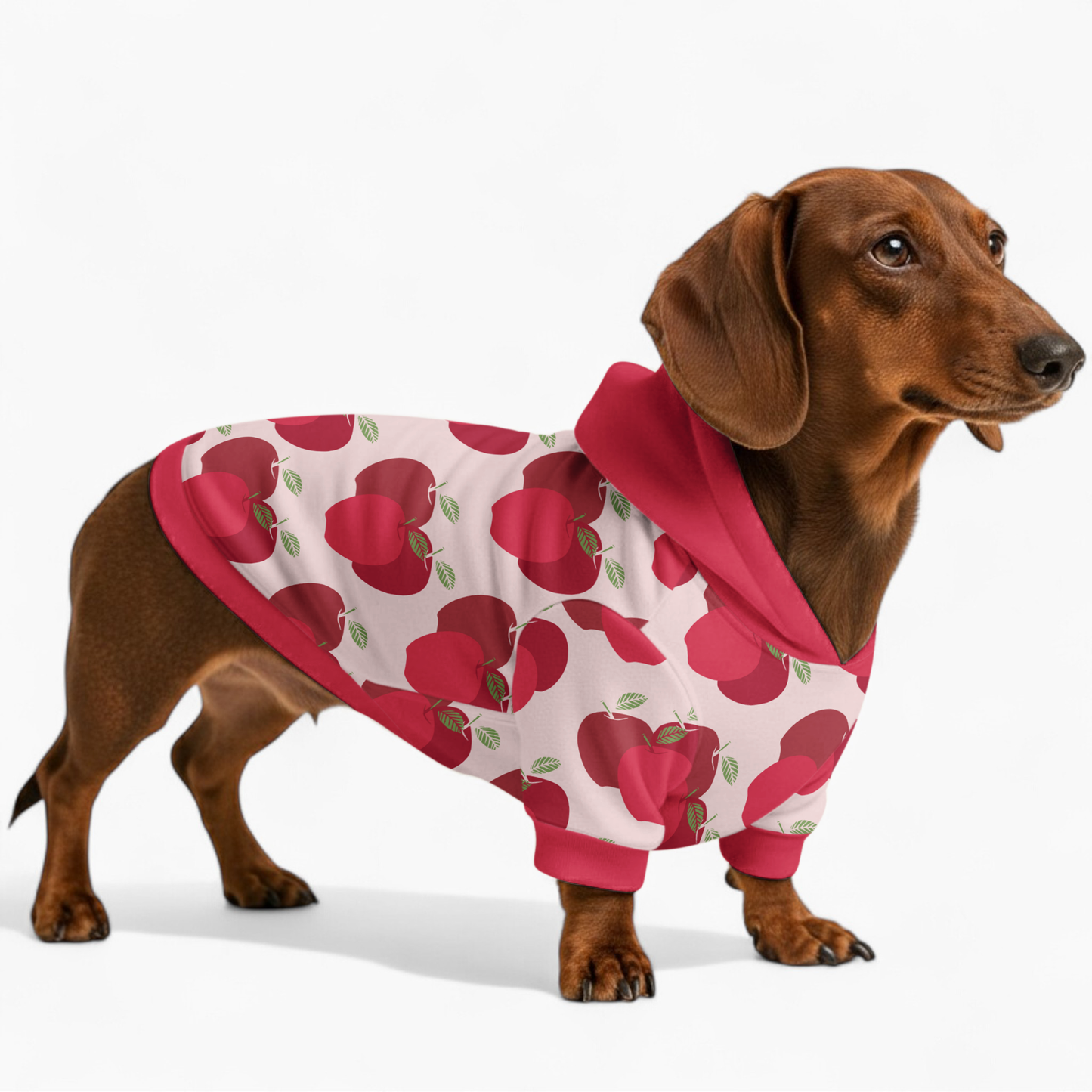 Jersey - Dachshund hoodie