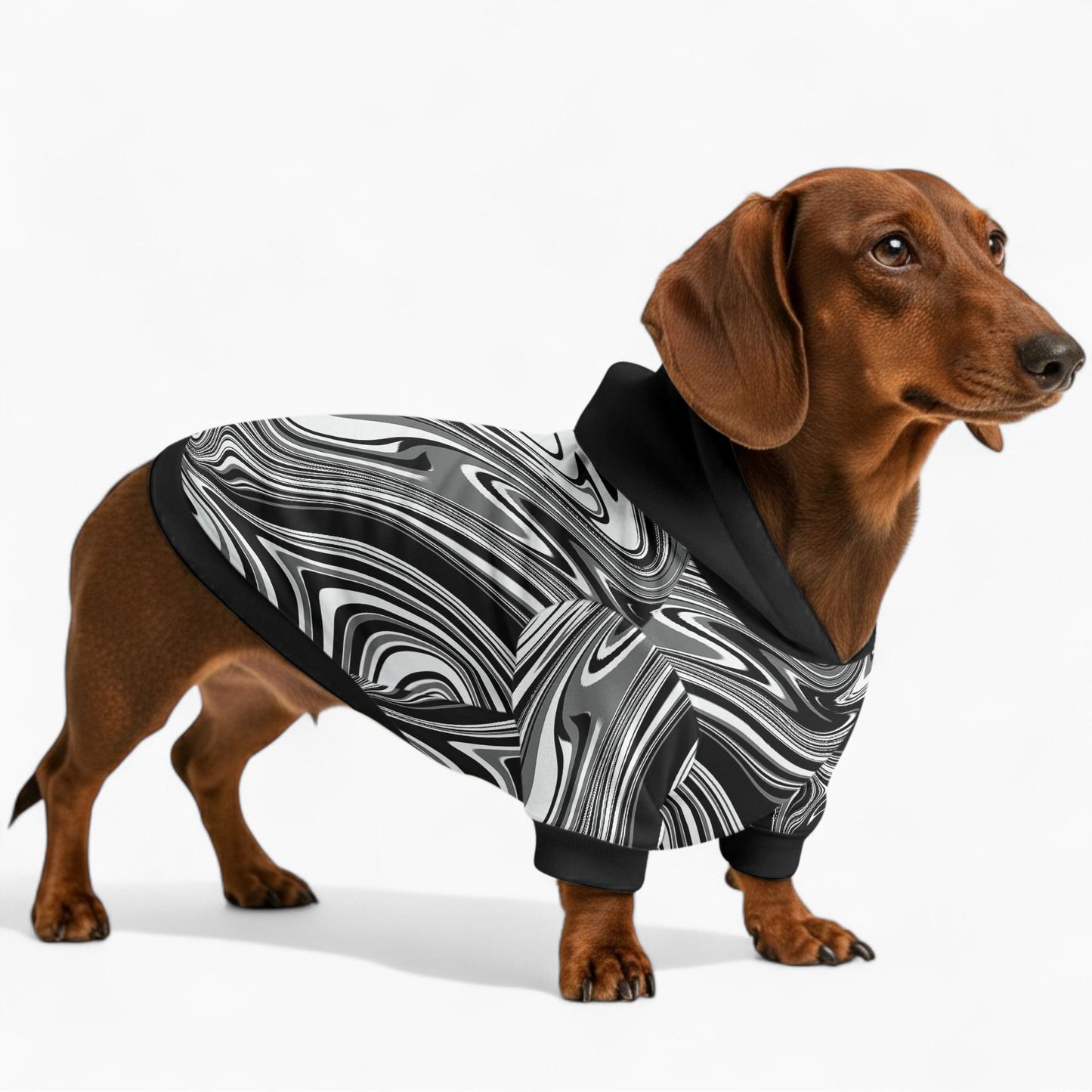 Josie - Dachshund hoodie
