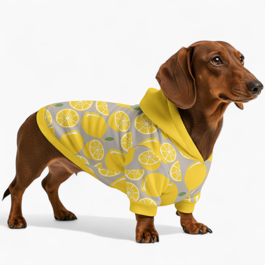Juno - Dachshund hoodie