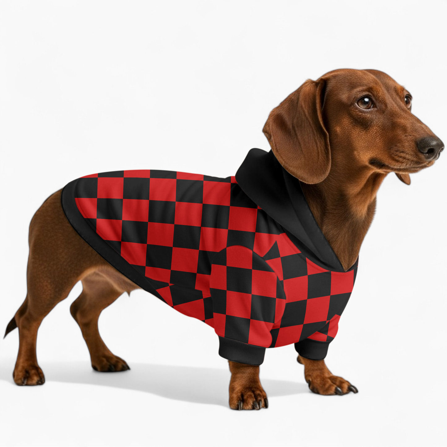 Karma - Dachshund hoodie