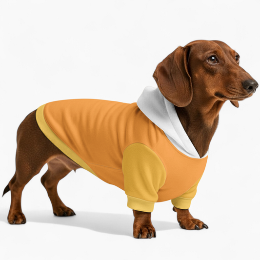 Laura - Dachshund hoodie