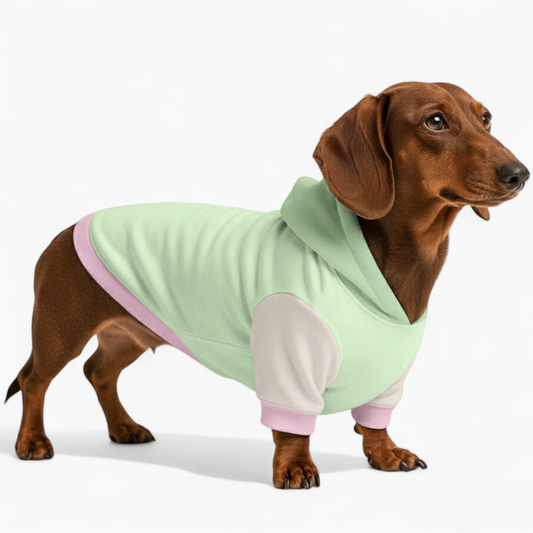 Lily - Dachshund hoodie