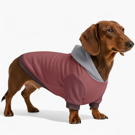 Lola - Dachshund hoodie