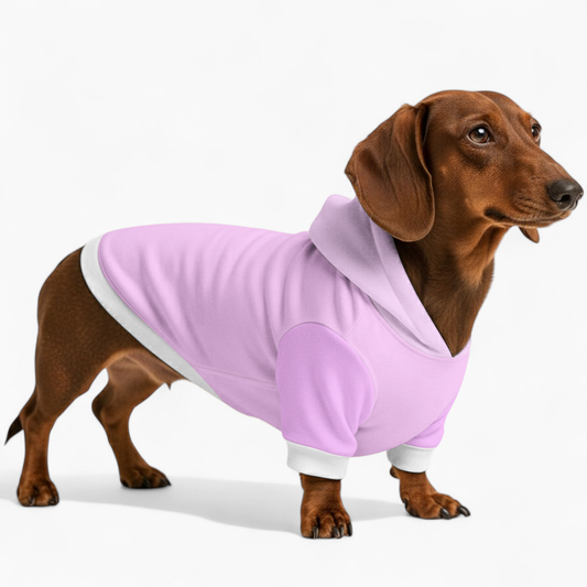 Nikita - Dachshund hoodie
