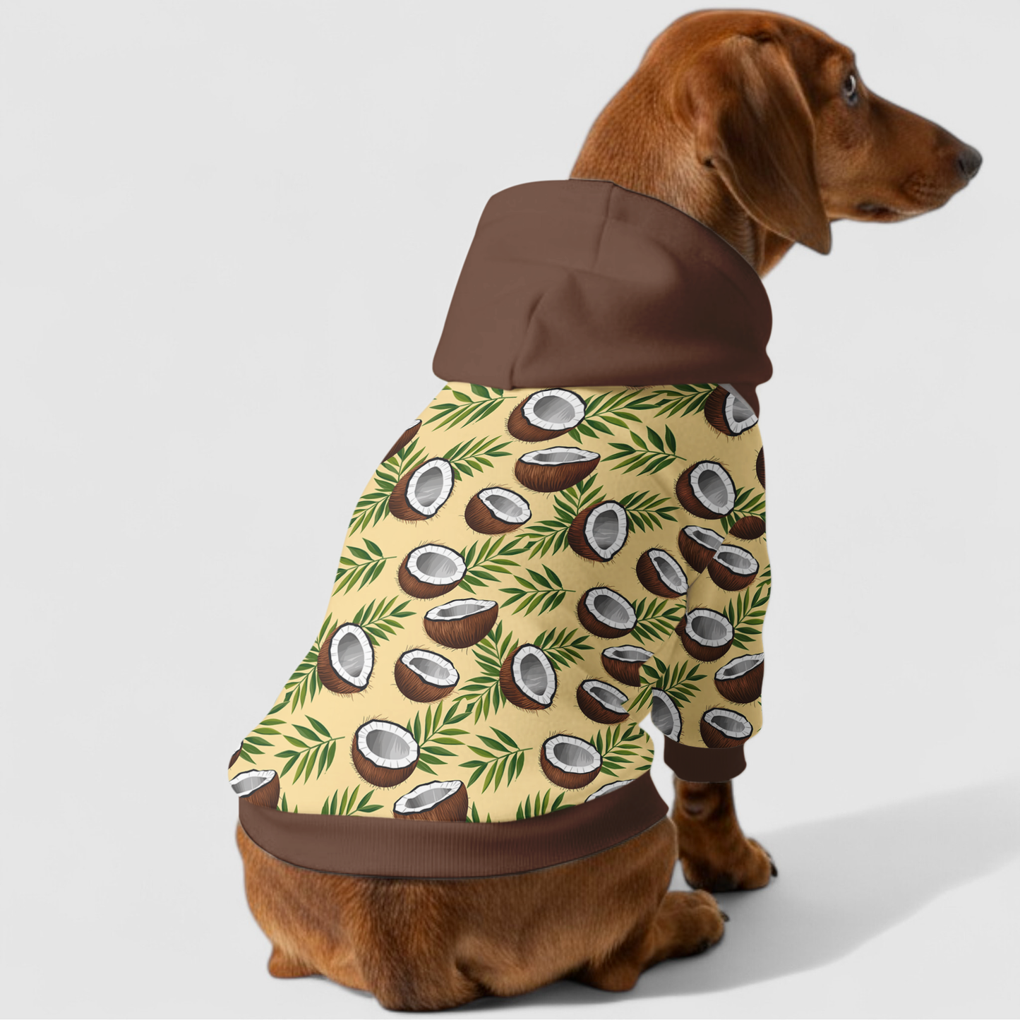Cora - Dachshund hoodie