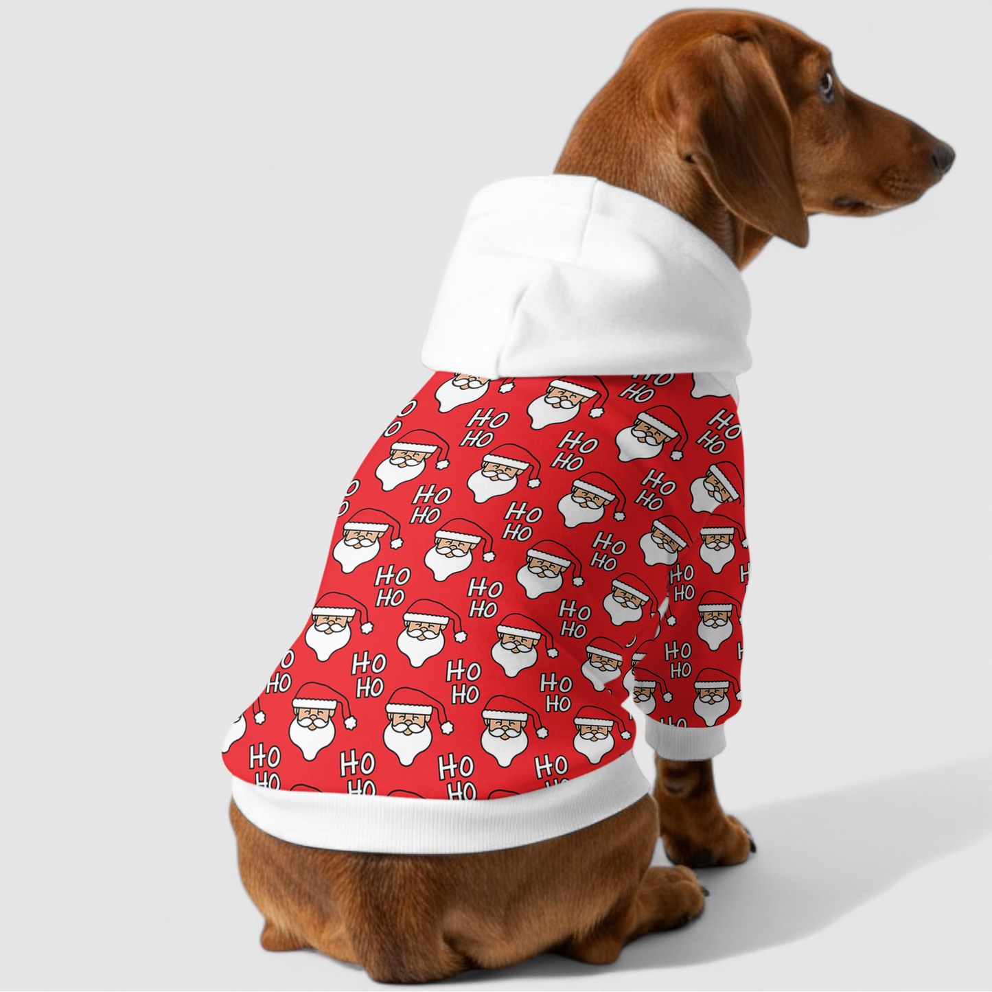 Elsie - Dachshund hoodie