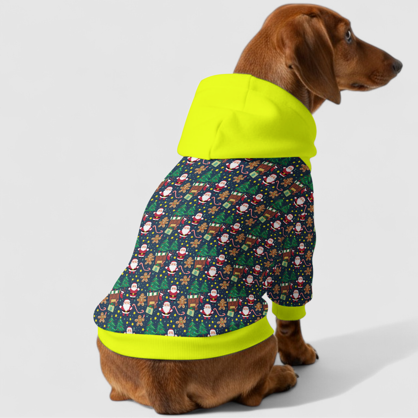 Faye - Dachshund hoodie