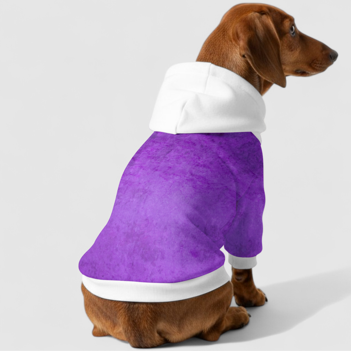 Haley - Dachshund hoodie