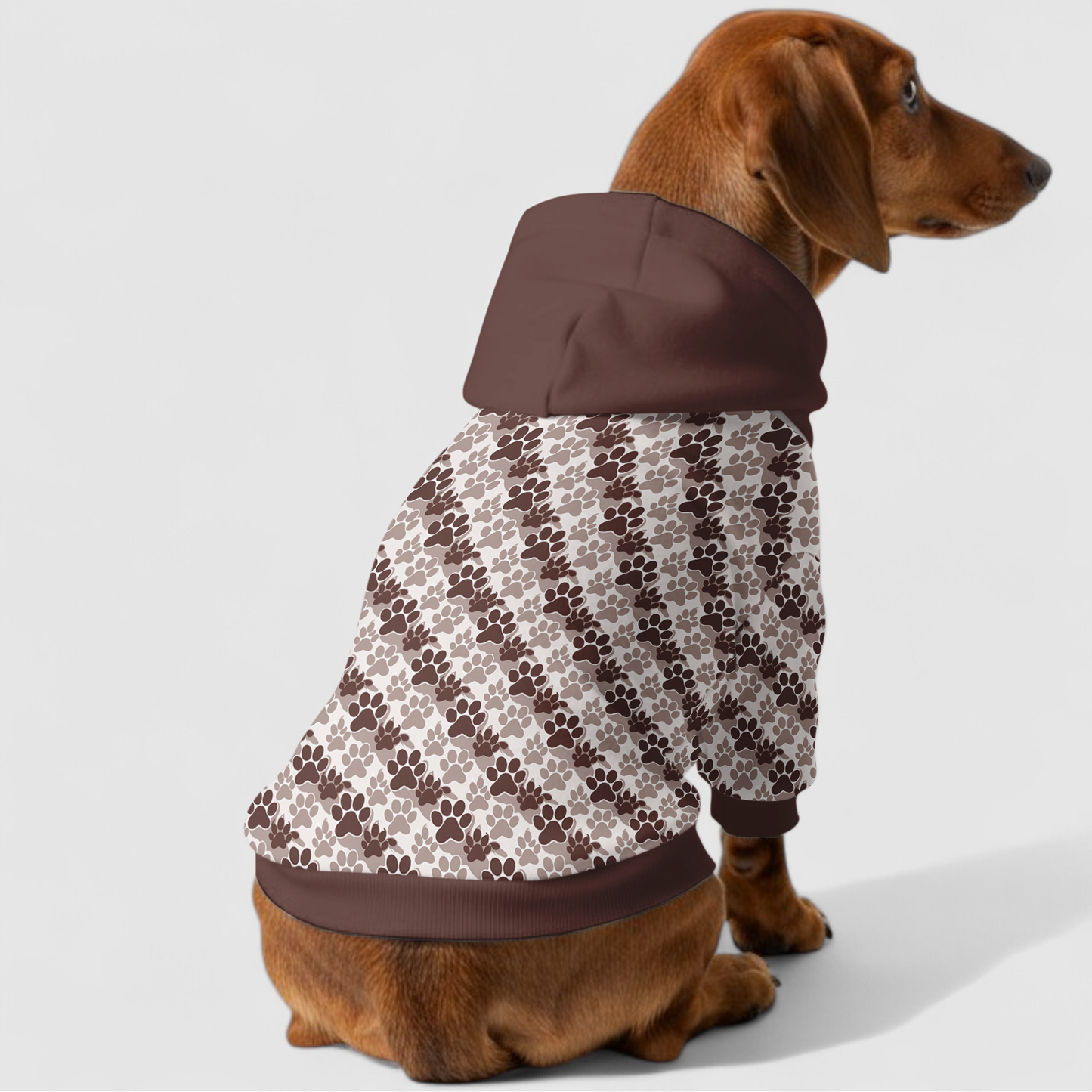 Daisy - Dachshund hoodie