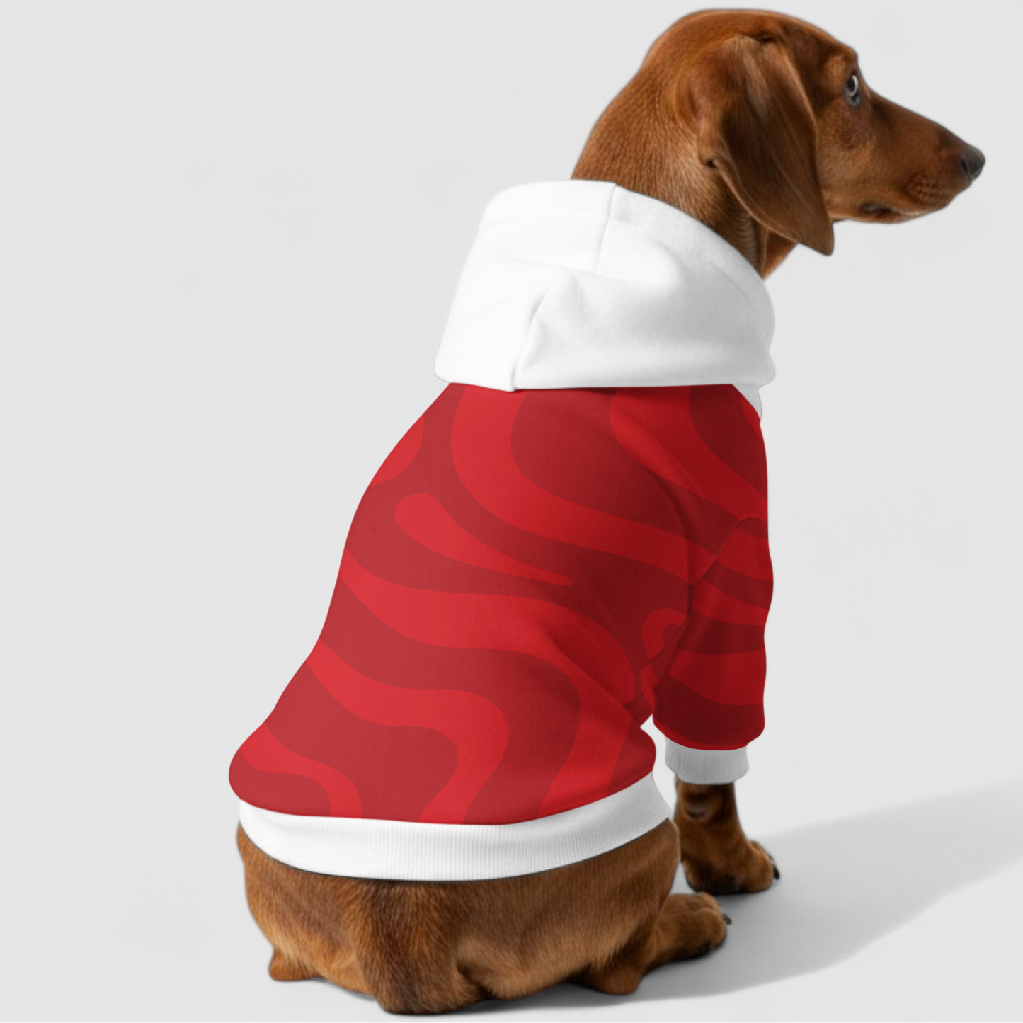 Jennifer - Dachshund hoodie