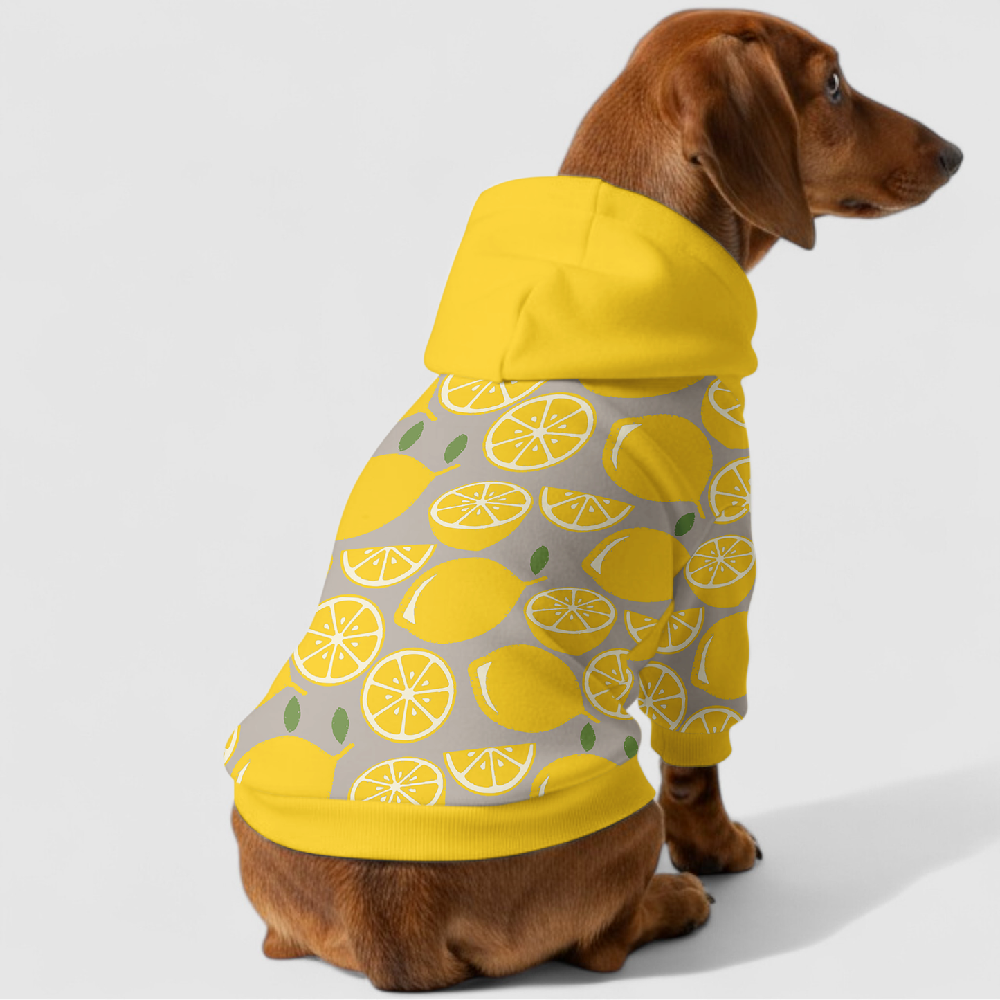 Juno - Dachshund hoodie