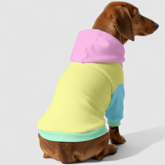 Lacy - Dachshund hoodie
