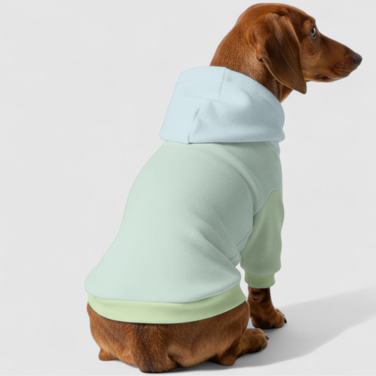 Luna - Dachshund hoodie