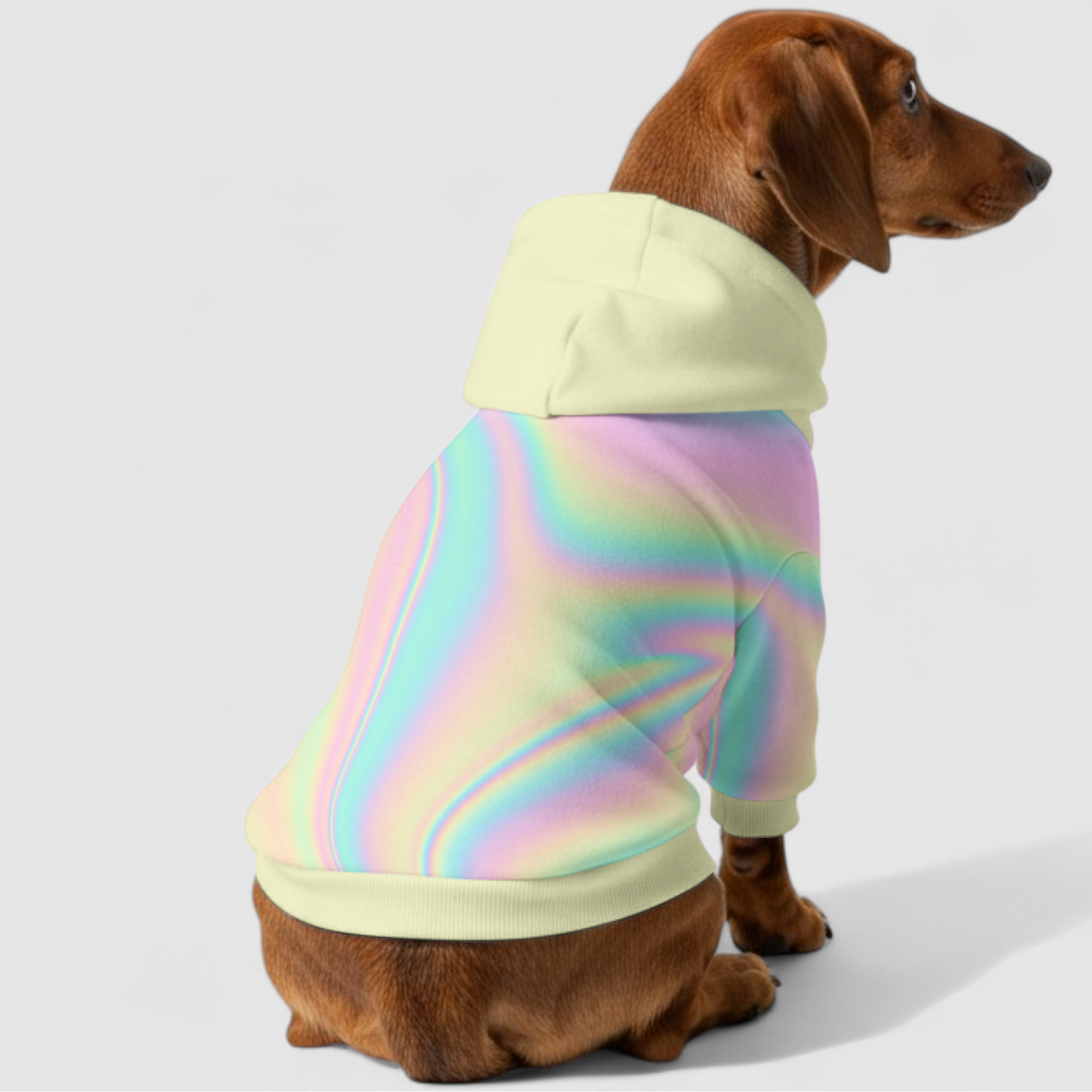 Dottie - Dachshund hoodie