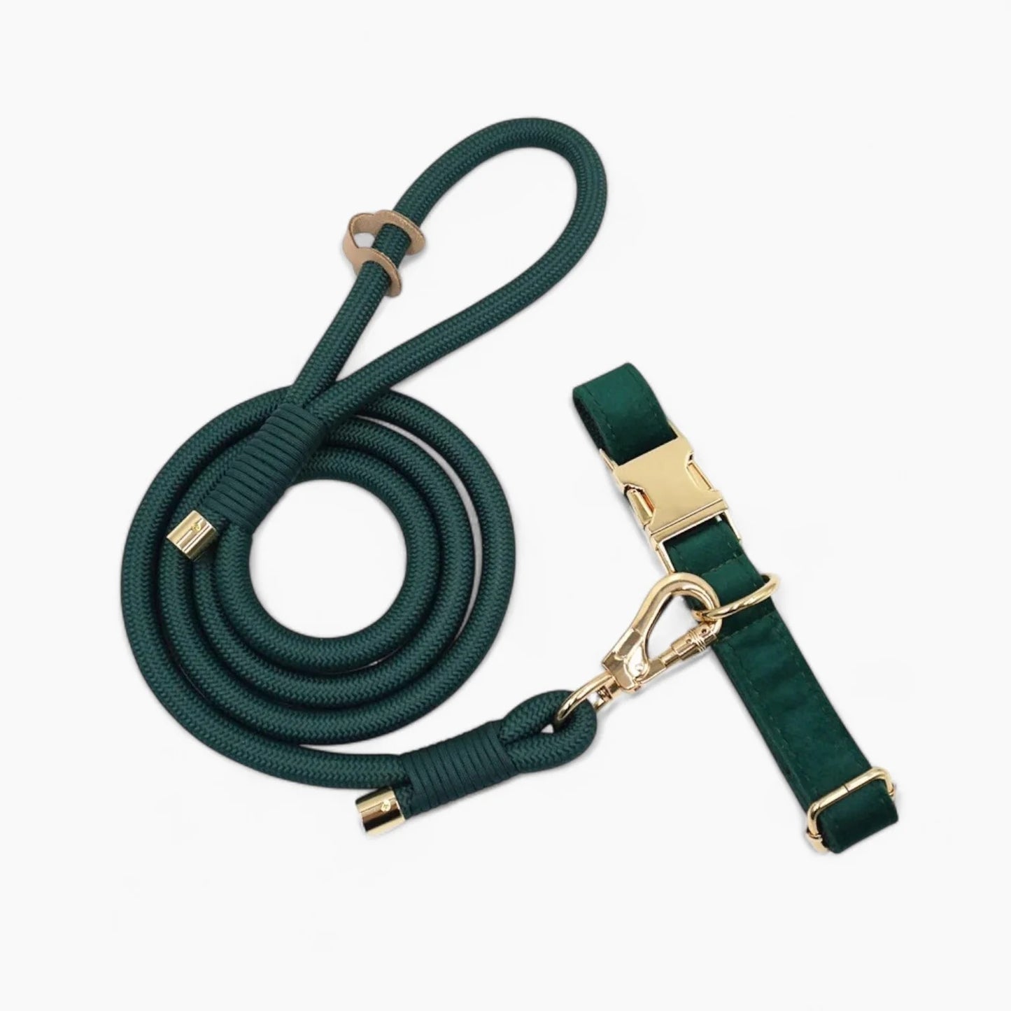 Velvuxe-Dachshund-Collar-Leash-Set.jpg