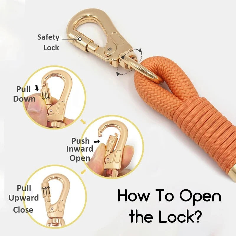 Velvuxe-Dachshund-Collar-Leash-Set.jpg