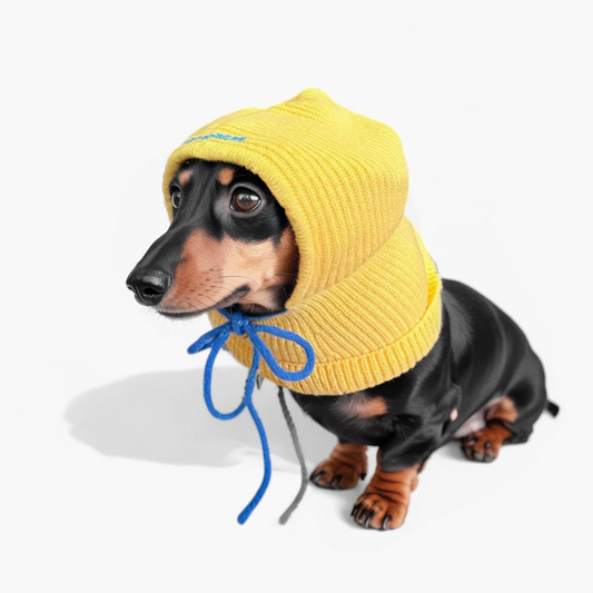 WagPup-Dachshund-Knitted-Wool-Hat.jpg