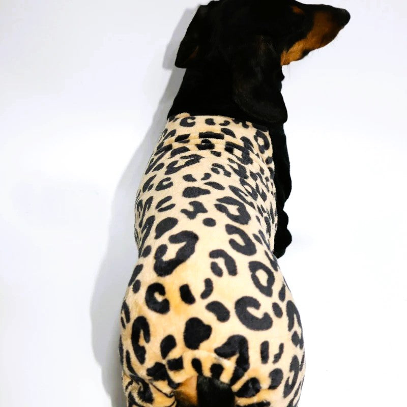 WildPaw-Dachshund-Leopard-Pajamas.jpg