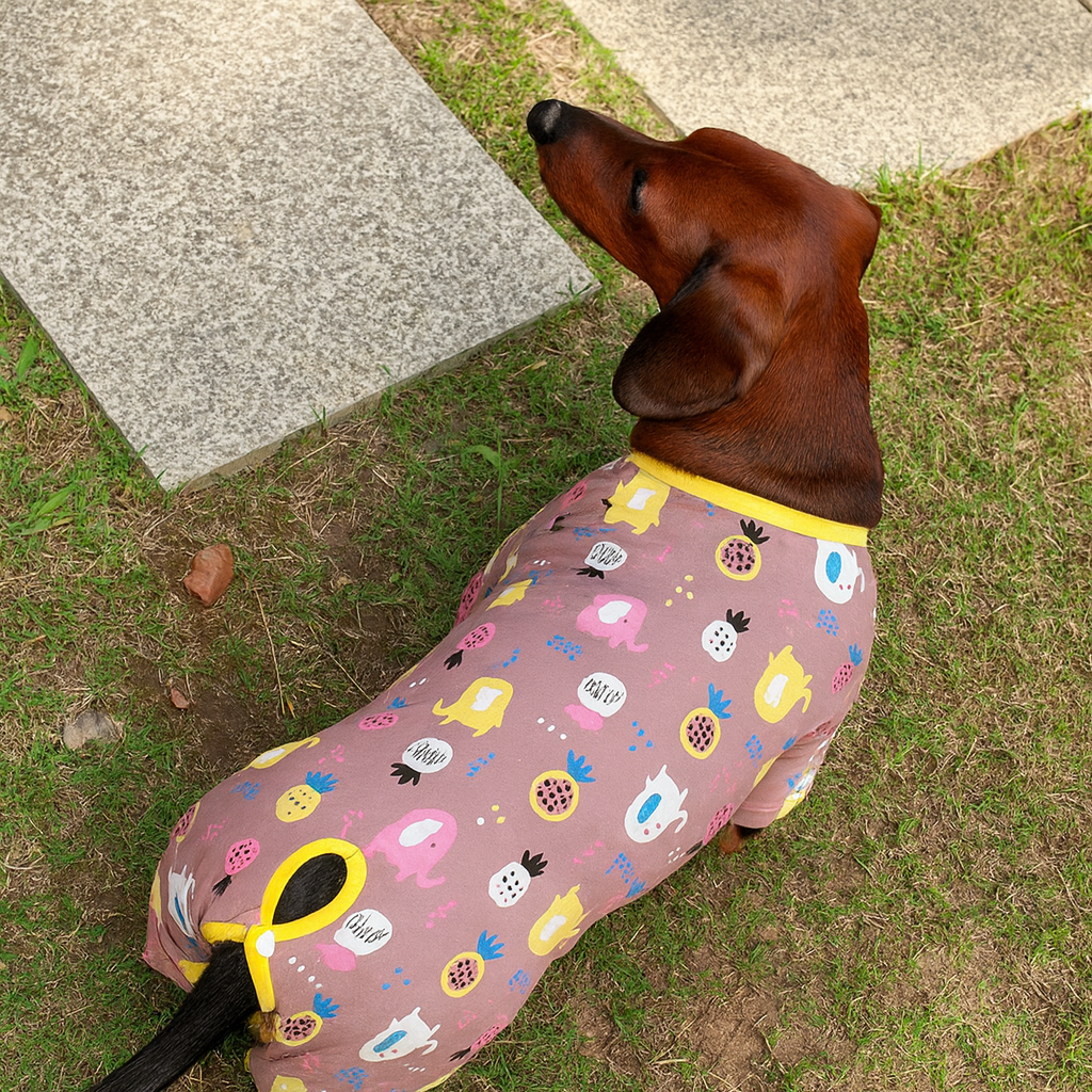 ZooPaws-Dachshund-Printed-Pajamas.jpg