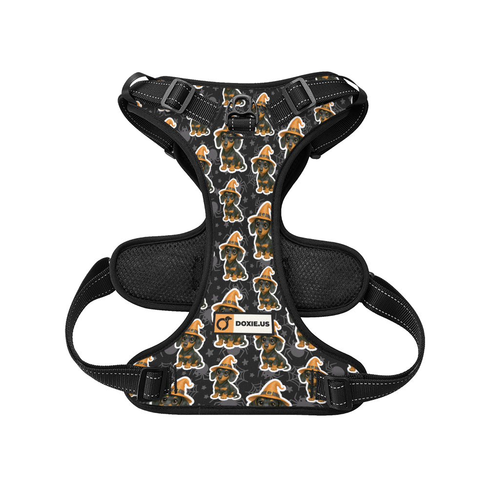 Roxy - No-Pull Dachshund Dog Harness