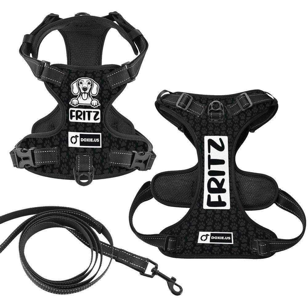 Hans - Personalized No-Pull Dachshund Dog Harness