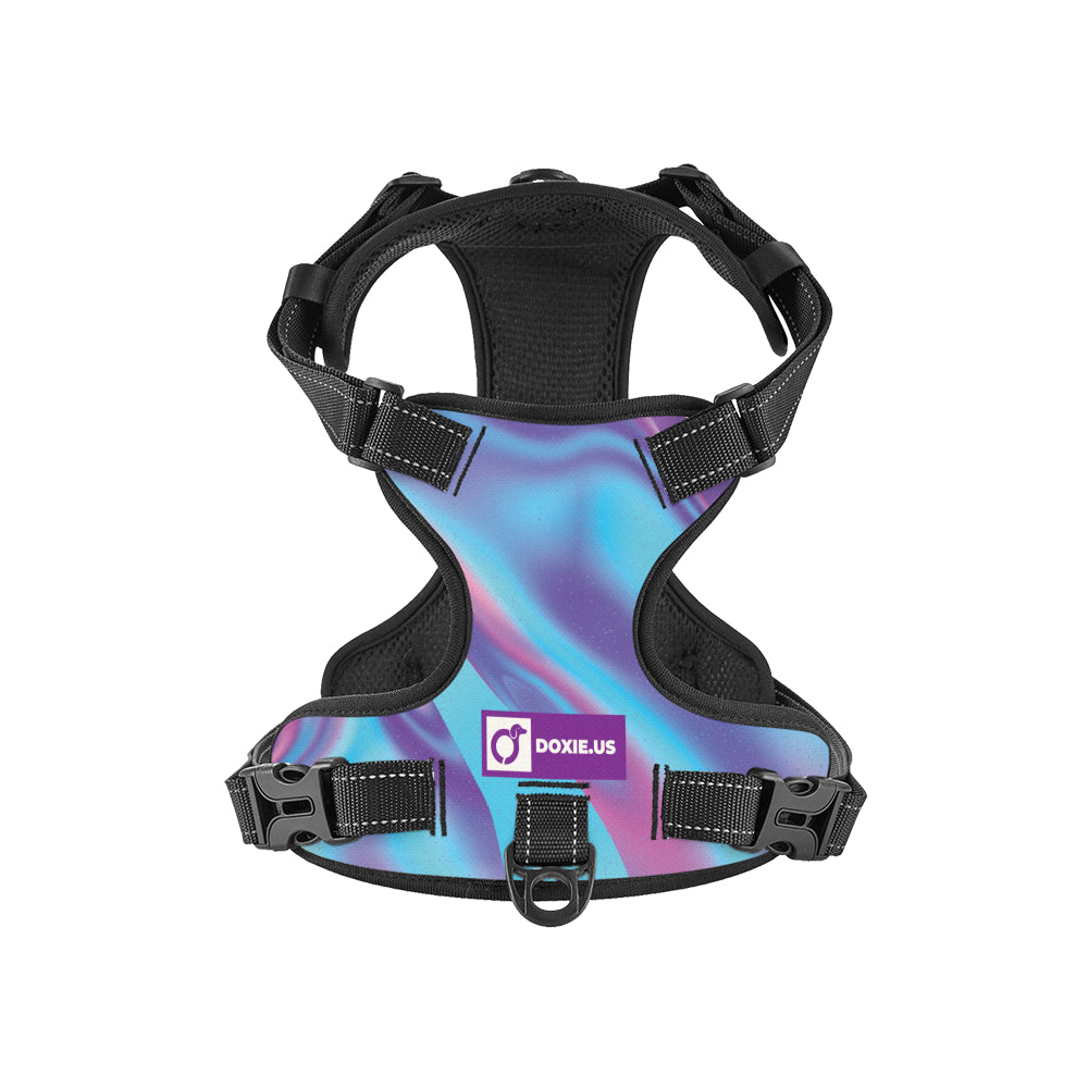 Betty - No-Pull Dachshund Dog Harness
