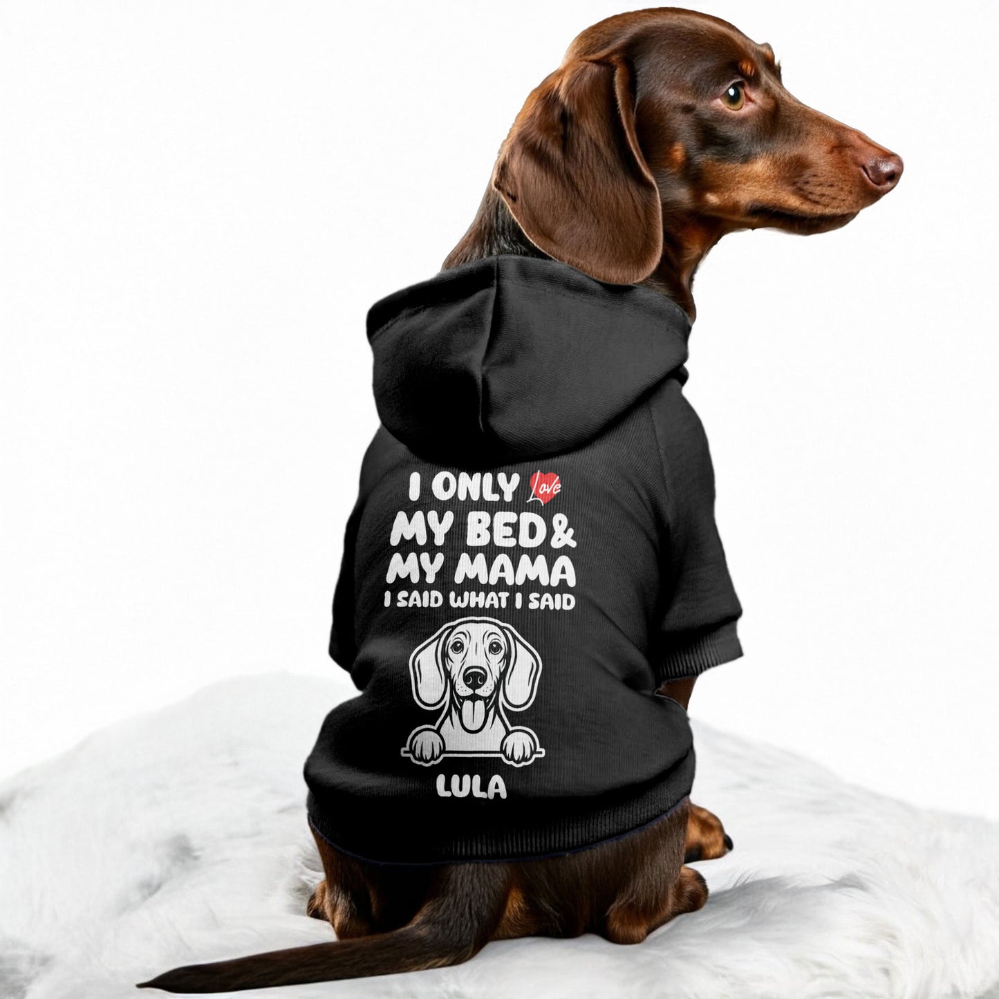 I ONLY LOVE - Personalized Dachshund Hoodies with MAMA or DADA design and your doxie name– Stylish, Cozy, and Premium 100% Cotton