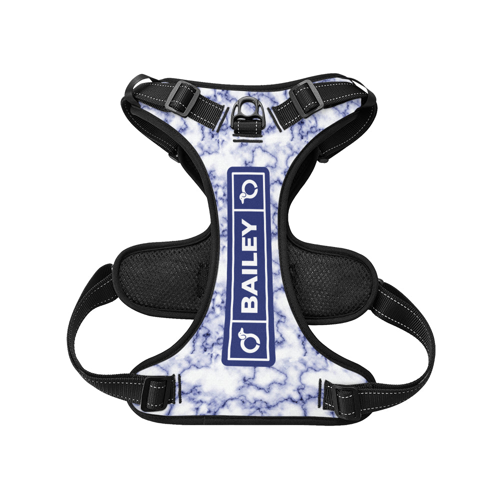 Maximilian - Personalized No-Pull Dachshund Dog Harness