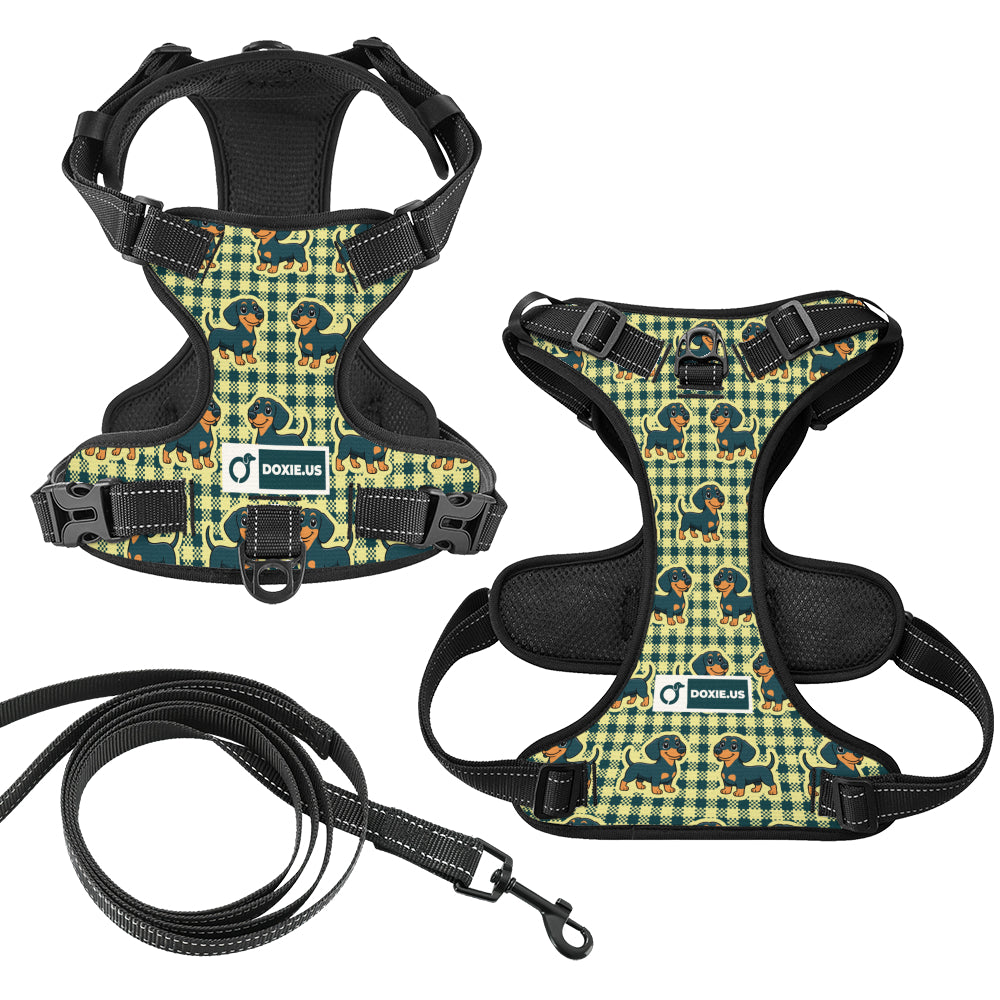 Snickers - No-Pull Dachshund Dog Harness