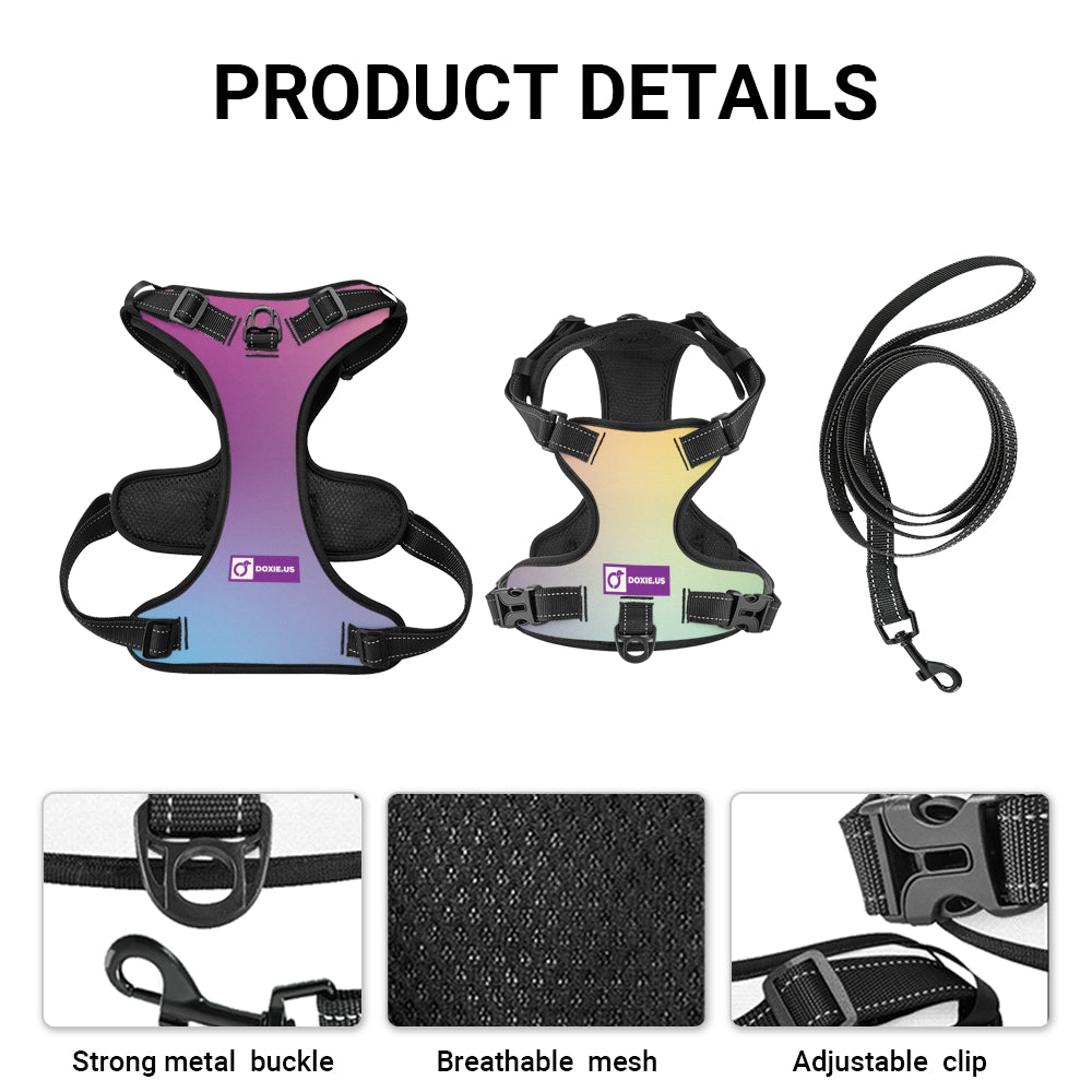 Simone - No-Pull Dachshund Dog Harness
